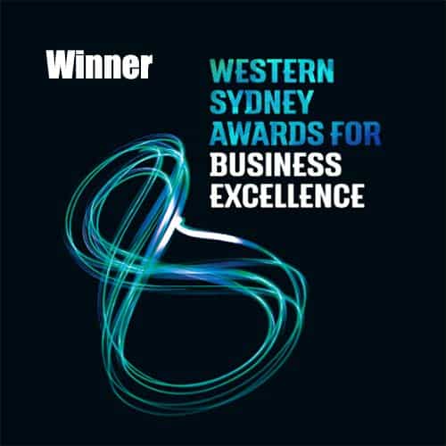 2017 WSABE Excellence in Social Enterprise logo with a black background