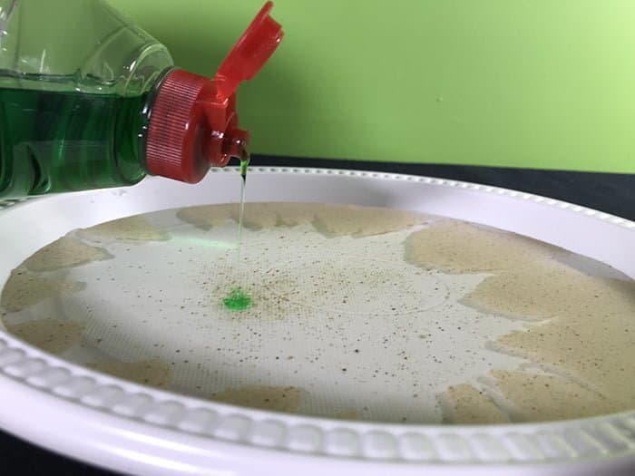 Pepper-and-detergent-surface-tension-experiment-adding-the-detergent-700-x-525px.jpg