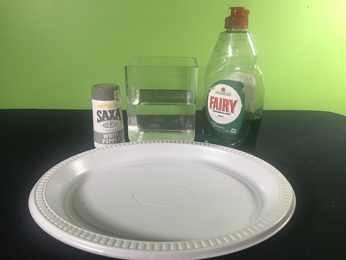 Materials shown for the experiment, Plastic bowl, Bottle of detergent, Half full jar of water, White pepper.