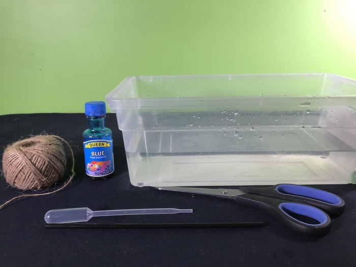 Materials needed for experiment shown, Ball of string, Blue colouring , Pair of scissors, Piece of straw, Tub half full of water and pipette
