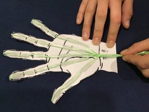 Strings of the paper hand model getting pulled so the fingers can move