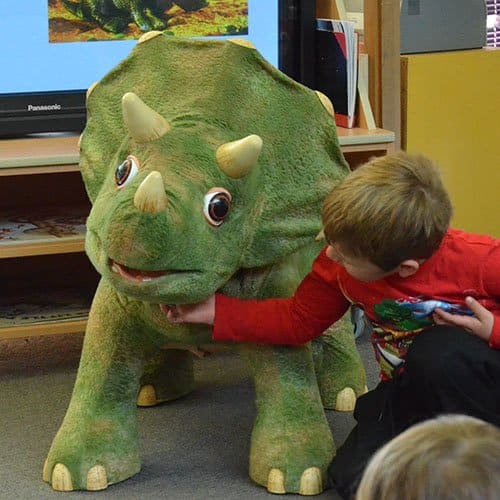 A child scratching the throat of a large green triceratops animatronic puppet