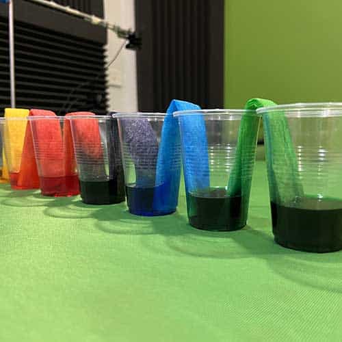 A series of clear cups with with paper towel linking each one to join them together as a chain. Coloured water is in each cup, where each cup has a different colour to form a rainbow. The coloured water has moved up the paper towelling between each cup to produce the effect