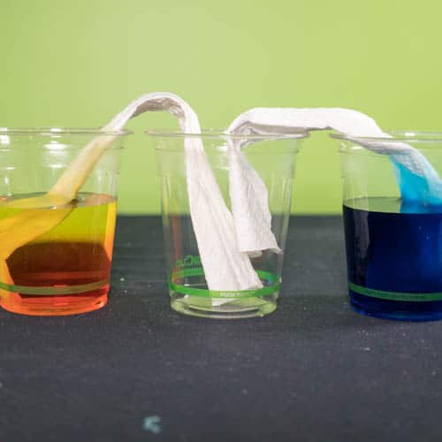 3 cups arranged in a line. On the left is a yellow cup of water and on the right is a blue cup of water. The center cup is empty. A paper strip is hanging from each of the outside cups into the center cup whilst both touching the coloured water in the outside cups