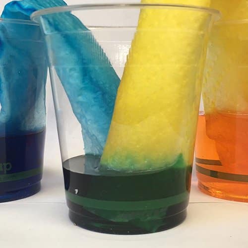 3 cups of different coloured water with two pieces of paper dangling into the center cup and into the outside cups. The paper is coloured by the food colour dye
