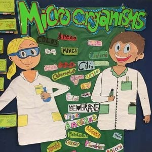 Microbes poster at Mt Keira Demonstration School