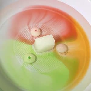 A sugar cube inbetween three dissolved skittles on a white plate. Colours are streaming out of the skittles