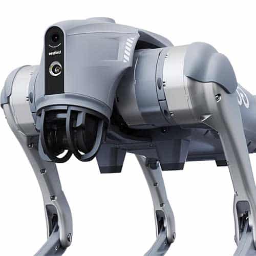 AI robotic dog