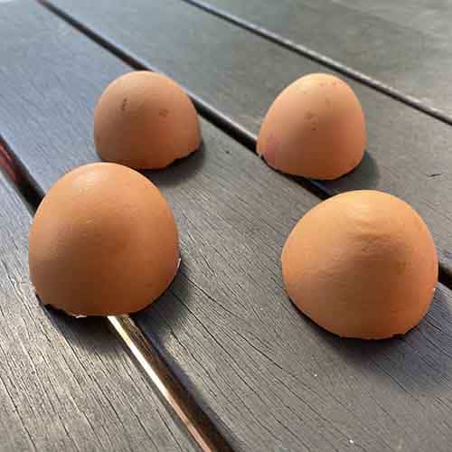 4 eggshell halves arranged in a square shape