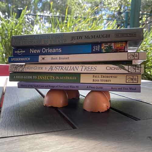 4 eggshell halves holding a stack of books up