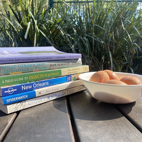 A stack of books and 4 eggs in a white bowl