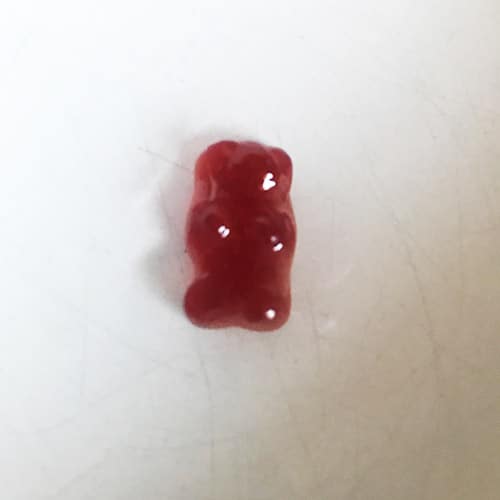 Swollen red gummy bear in a bowl of water