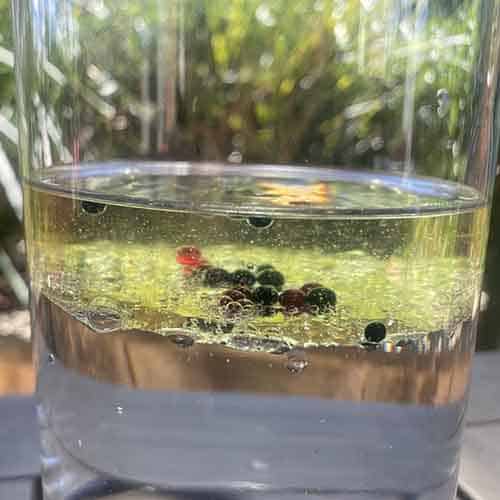 Droplets of food colouring suspended between the oil and water layers in a glass.