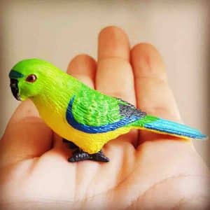 Orange-bellied parrot replica in the hand