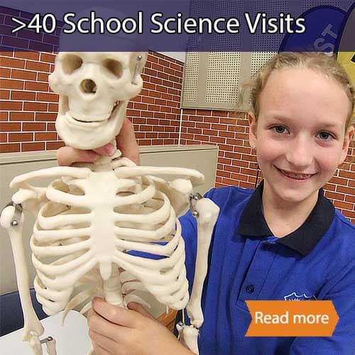 A girl holding a skeleton model