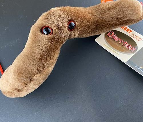 giant microbes stuffed animals