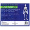 The back of the Press Out And Build Human Skeleton kit. It details the instructions and contents of the kit (24 page book, adult help)