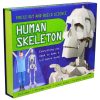 The front of the Press Out And Build Human Skeleton kit. It shows a kid standing next to a 1.2 meter paper skeleton as well as a close-up of the skull and upper body assembly