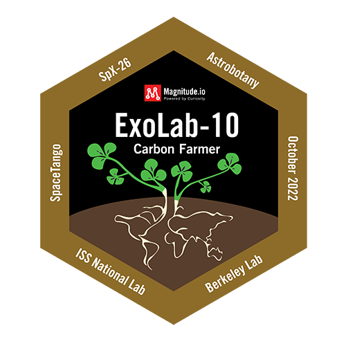 ExoLab 10 Soil patch showing a pant growing in soil on a hexagon patch
