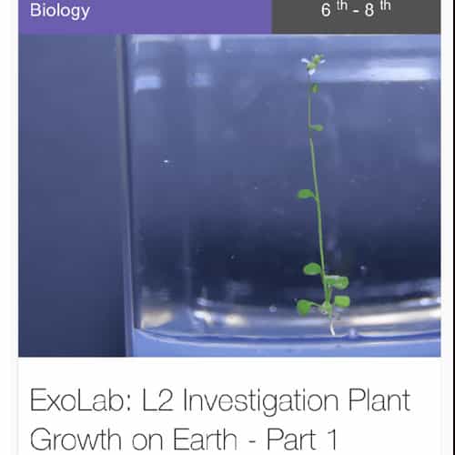Growth of a plant on an agar medium