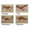 T-rex, Triceratops, Brachiosaurus & Stegosaurus skeletons in plaster blocks