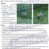 Insect Inventory Student worksheet - how to make an insect pooter