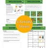 Popsicle Stick Explosion Student Activity Sheets - 4 in total