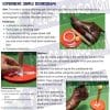 Shake it up worksheet - seismograph instructions using a shoe, ping pong ball, carboard tube, plate and tape