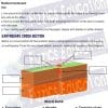 Shake it up worksheet - earthquake cross section labelling activty