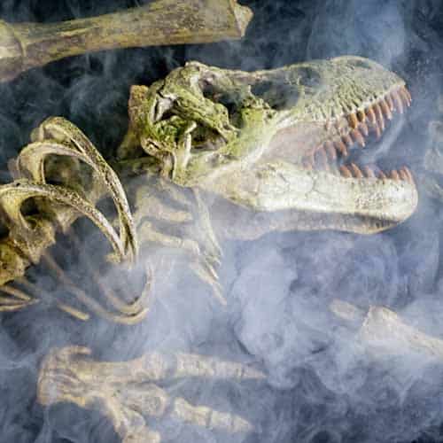 A T Rex skeleton replica under a cloud of fog